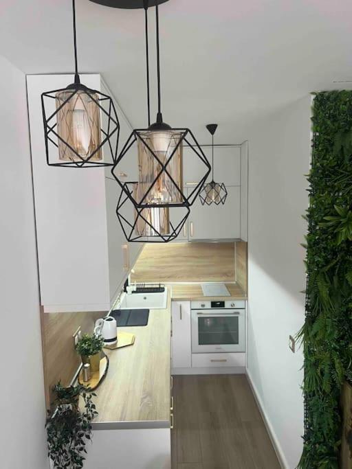 Cosy Appartement Green Life Банско Екстериор снимка